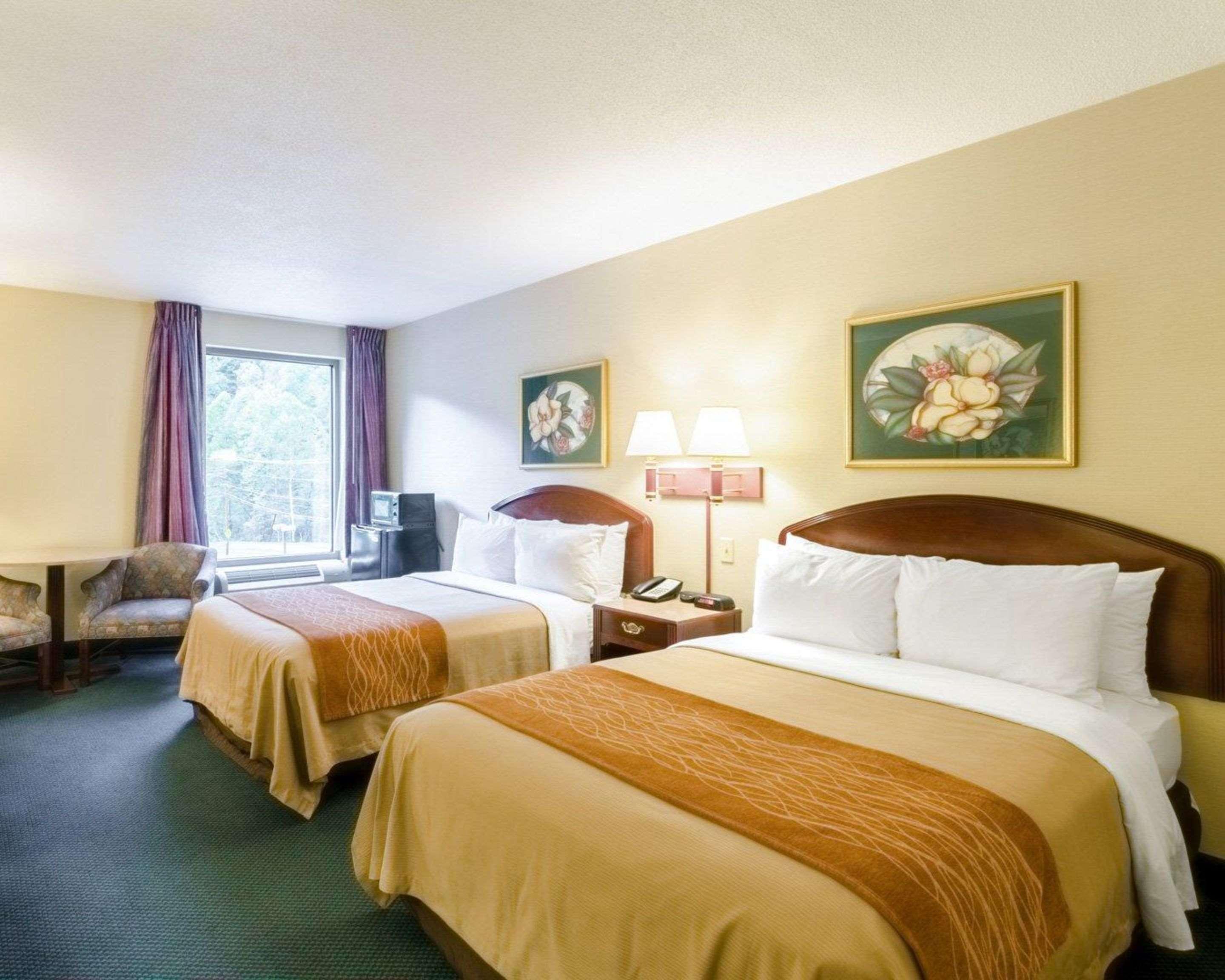 Comfort & 3* Grundy
