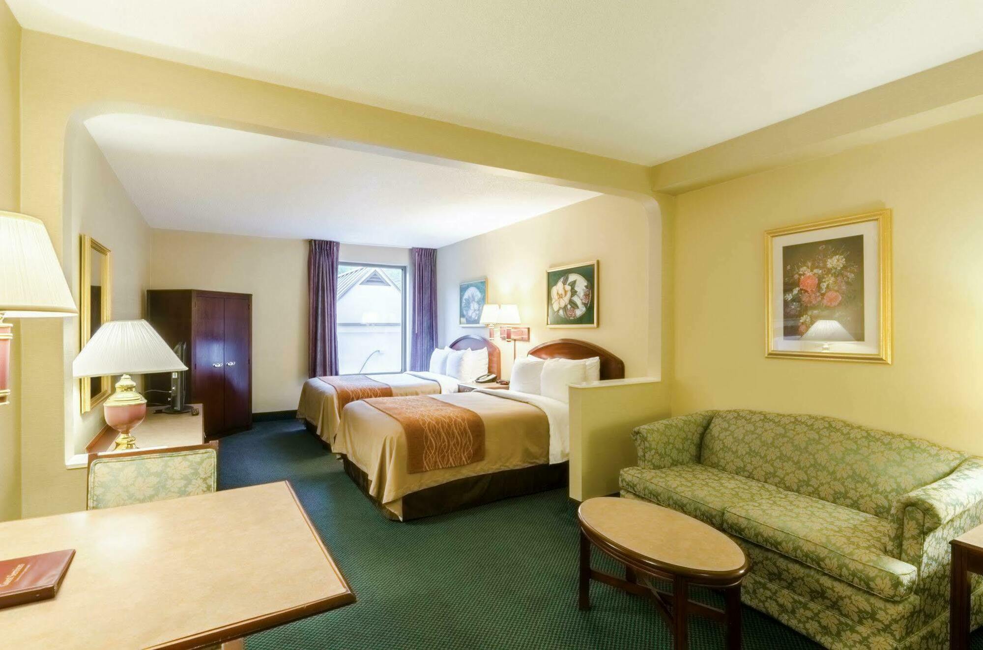 Comfort & Hotel