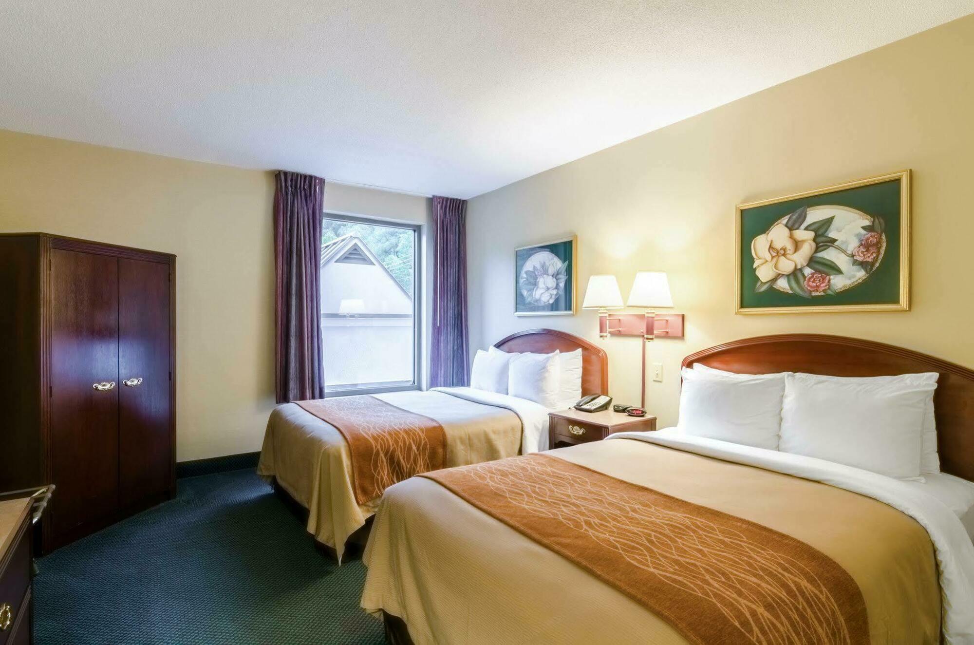 Comfort & Hotel